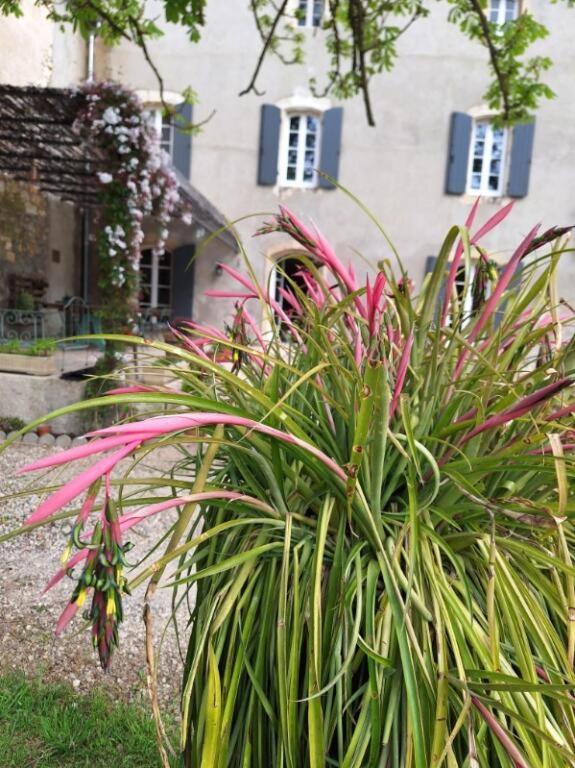 Domaine De Capoulade Bed & Breakfast Narbonne Eksteriør bilde