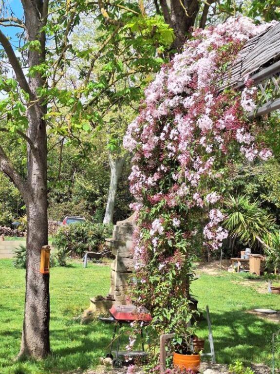 Domaine De Capoulade Bed & Breakfast Narbonne Eksteriør bilde